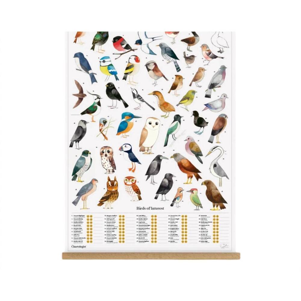 NEW SUCK UK the chartologist - poster hanger in white